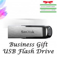Business Gift USB Flash Drive